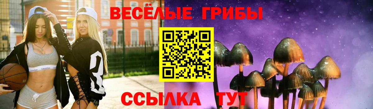Псилоцибиновые грибы прущие грибы Омск
