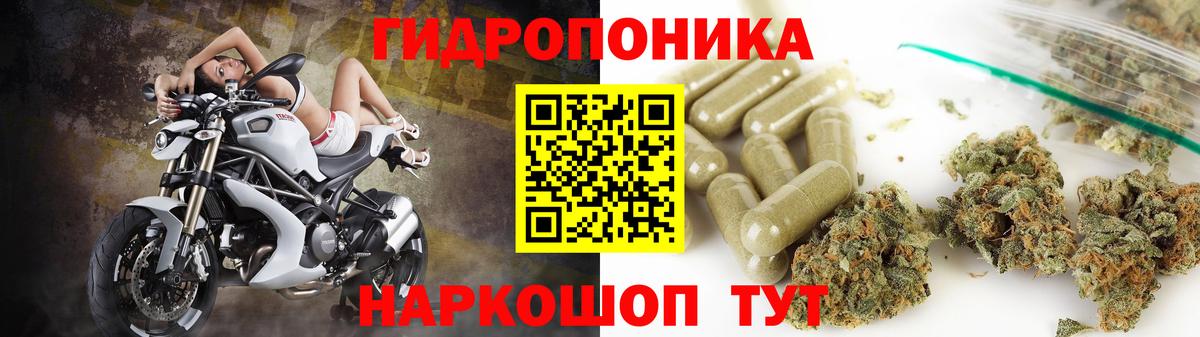 Каннабис SATIVA & INDICA Омск
